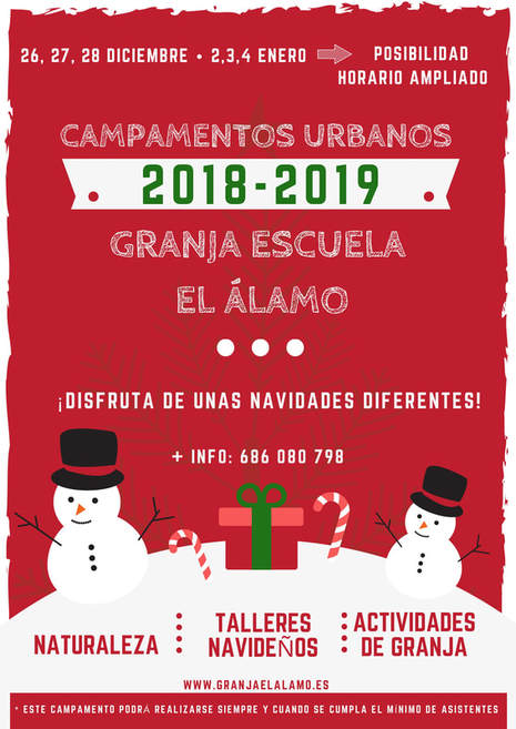 Campamento de invierno urbano 2018 - 2019
